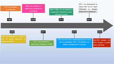 Surprising magic of CD24 beyond cancer